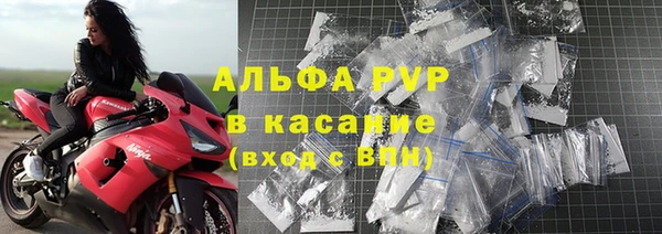 трава Магас