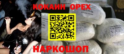 индика Гусев
