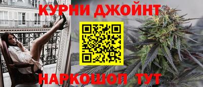 индика Гусев