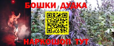 индика Гусев