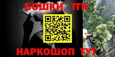 индика Гусев
