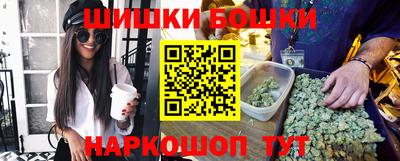 индика Гусев