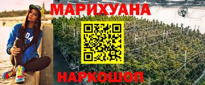 индика Гусев
