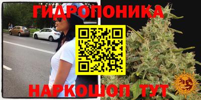PSILOCYBIN Гусиноозёрск