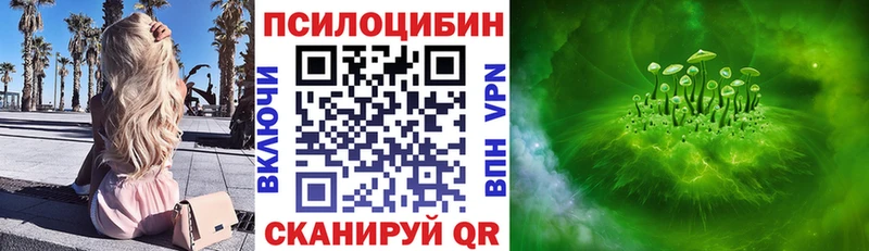 Галлюциногенные грибы Psilocybe  Карабулак 
