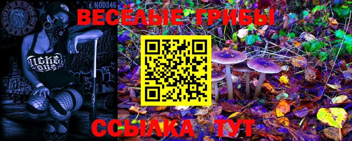 Галлюциногенные грибы мухоморы Карабулак